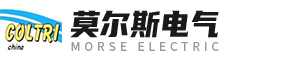山東莫爾斯電氣科技有限公司